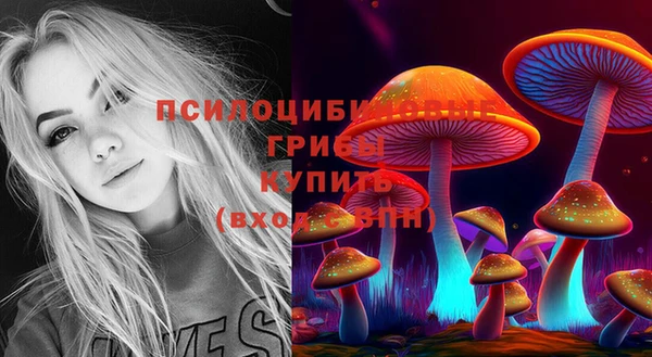 мяу мяу мука Баксан