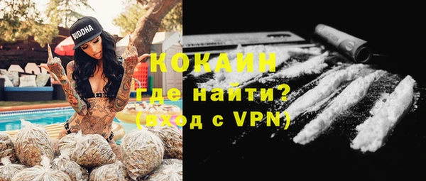 мяу мяу мука Баксан