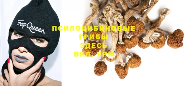 мяу мяу мука Баксан
