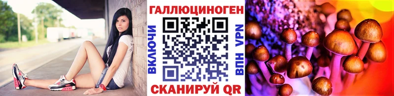 Псилоцибиновые грибы Psilocybine cubensis  Серов 